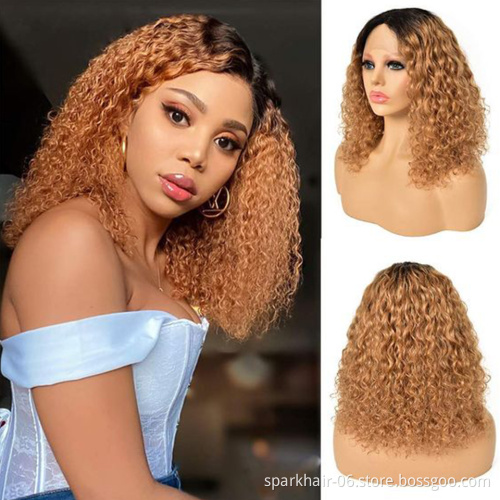 Ombre Bob Wig 100% Human Hair,Short Curly Bob Wigs Human Hair Lace Front, Short Bob Lace Front Human Hair Wigs For Black Women